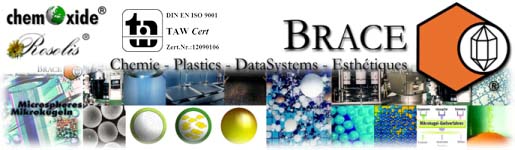 BRACE Newsletter Logo